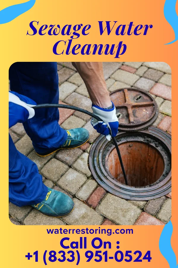 Sewage Water Cleanup in Thor, IA